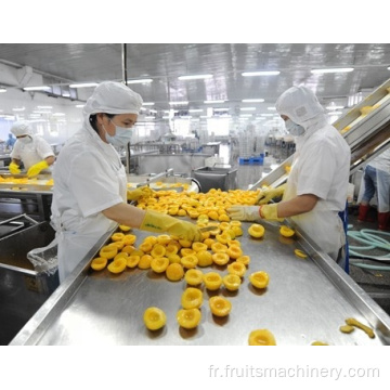 Machine de fabrication de concombres marinés en conserve